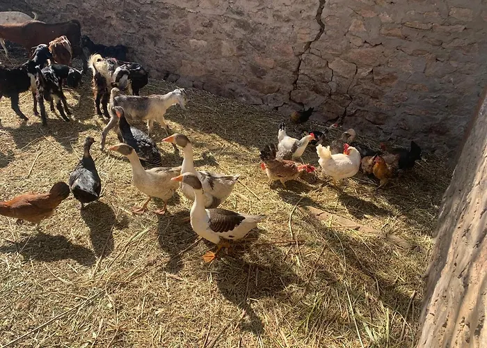 Nubian Farm Aswan